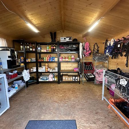 Fewo Im Reit- Und Ponyparadies Roos Halle  Bagian luar foto