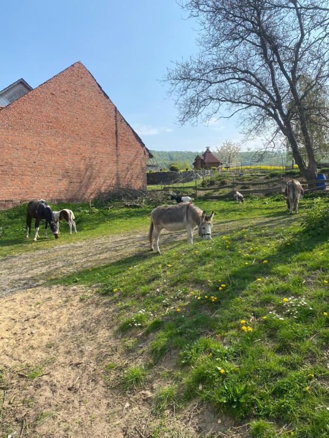 Fewo Im Reit- Und Ponyparadies Roos Halle  Bagian luar foto
