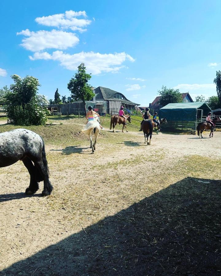 Fewo Im Reit- Und Ponyparadies Roos Halle  Bagian luar foto