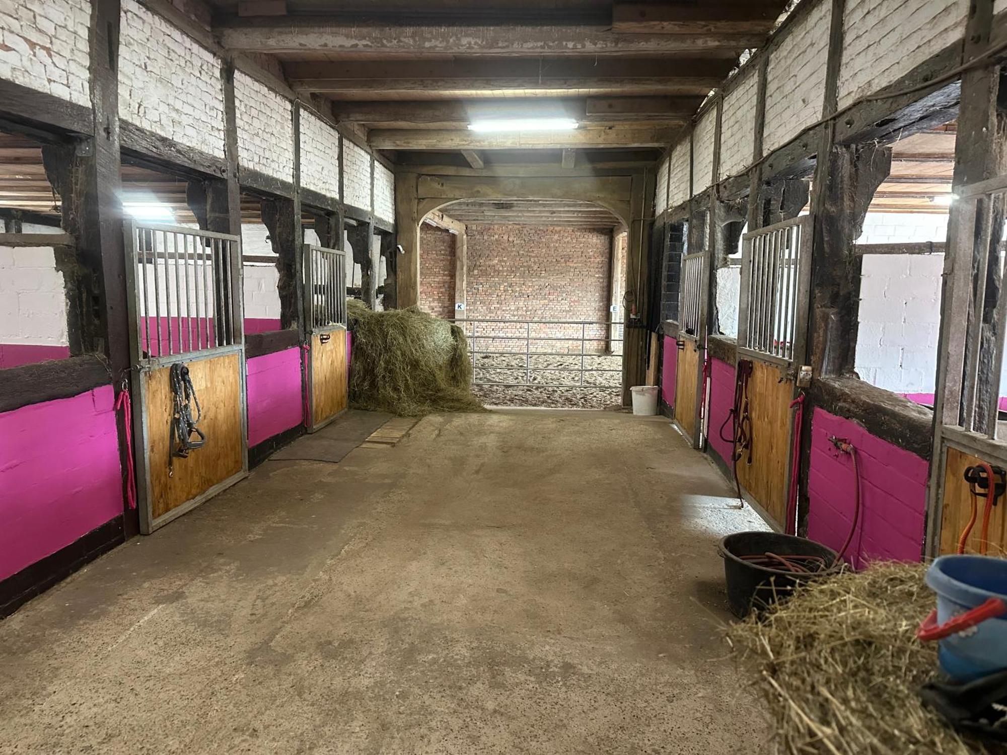 Fewo Im Reit- Und Ponyparadies Roos Halle  Bagian luar foto