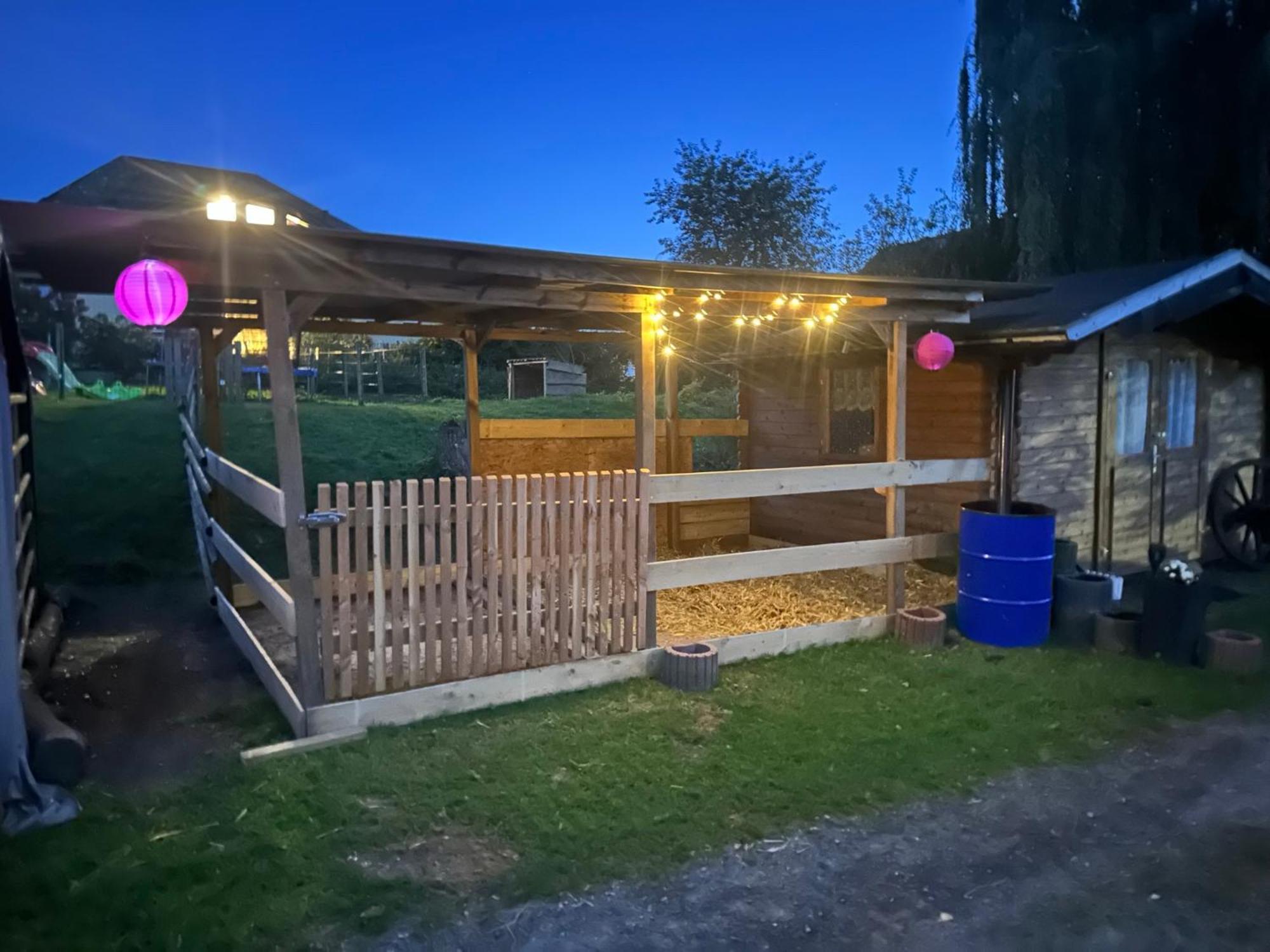 Fewo Im Reit- Und Ponyparadies Roos Halle  Bagian luar foto
