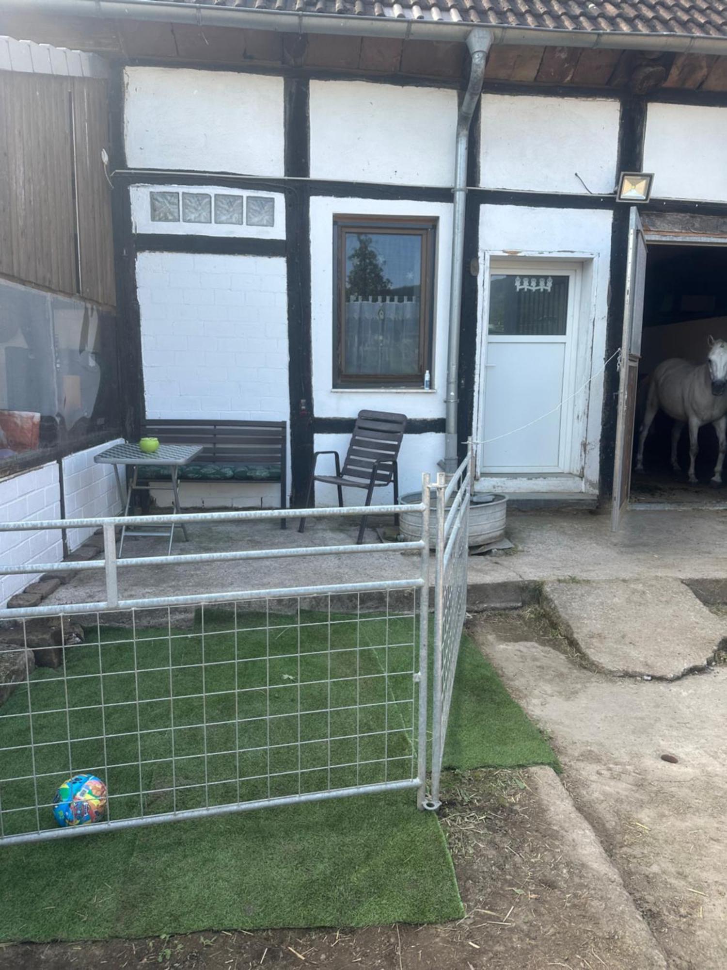 Fewo Im Reit- Und Ponyparadies Roos Halle  Bagian luar foto