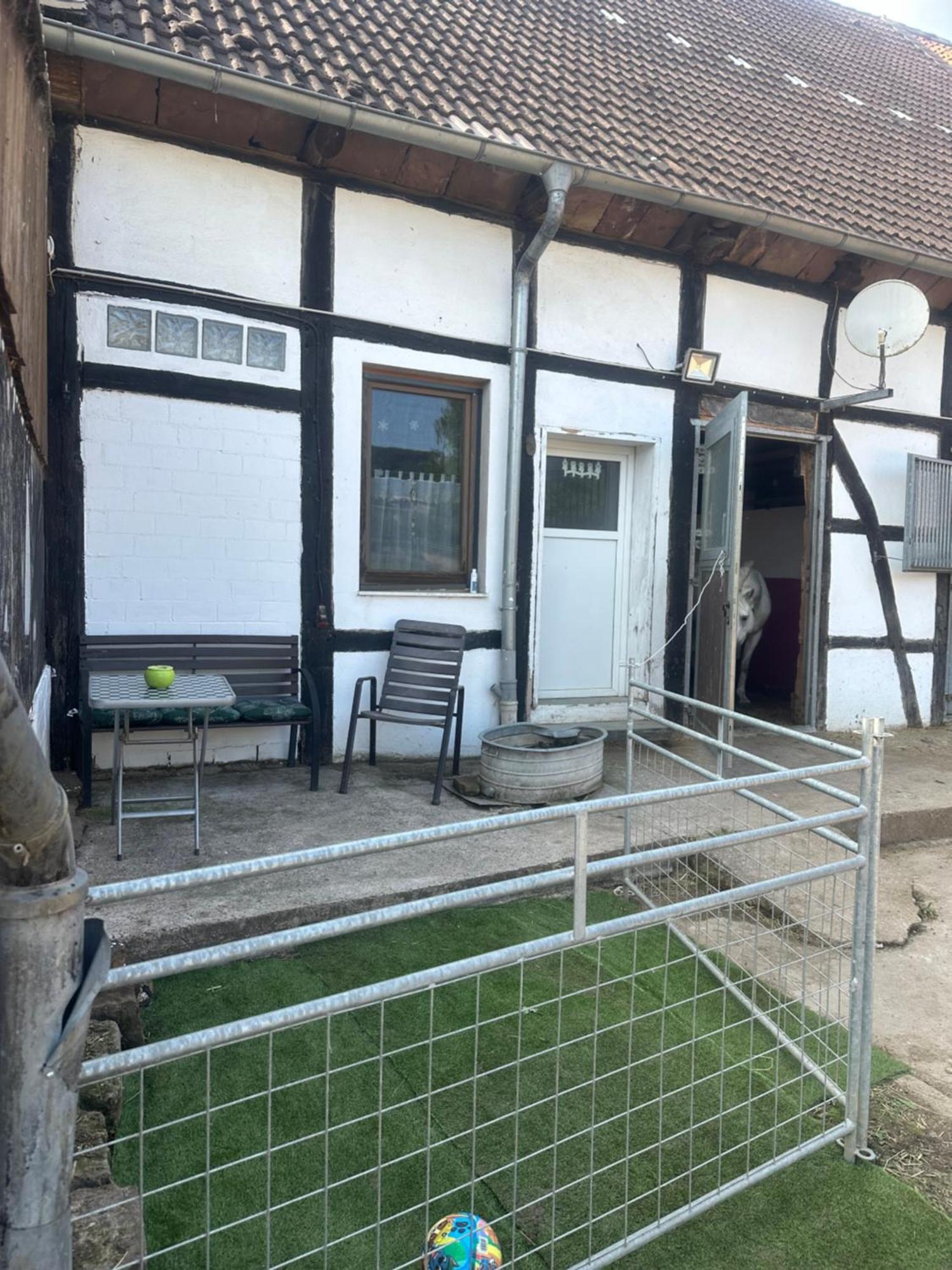 Fewo Im Reit- Und Ponyparadies Roos Halle  Bagian luar foto